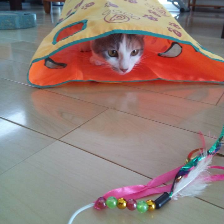 58ee9943 2377 4c9f b9fa e91b0f0655de