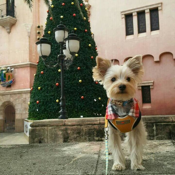 58eedb77 1050 4e90 be06 f4d904d27117