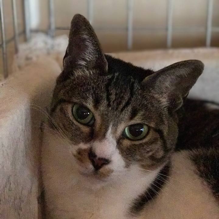 58eee58a 394a 40dd 8400 ad6232595be8