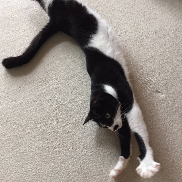 58ef0d9c da98 48e8 9cc8 c6c72f1700b5