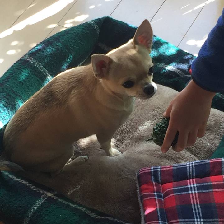 58ef373b 1bcf 4c1f 9a22 4e53616fc47c