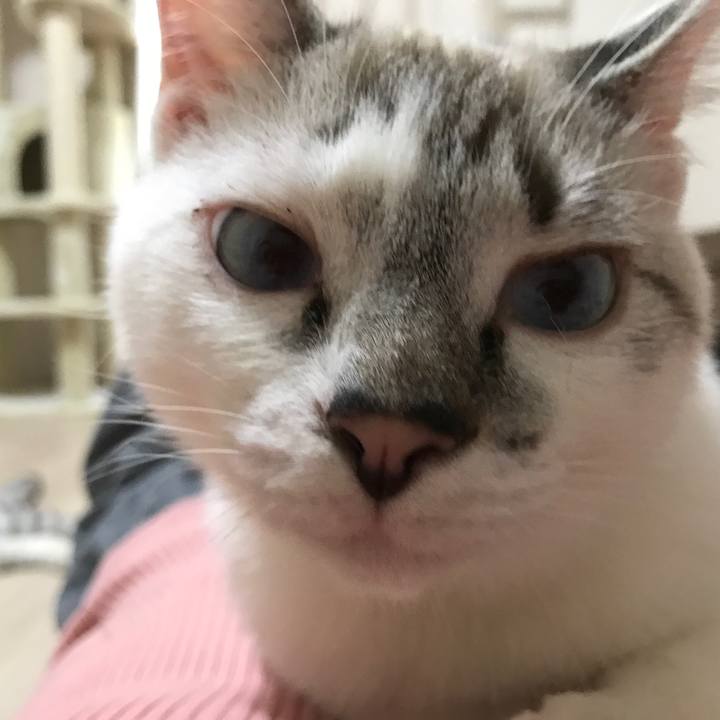 58ef77cd d06d 48e4 901c 70b147d4292e