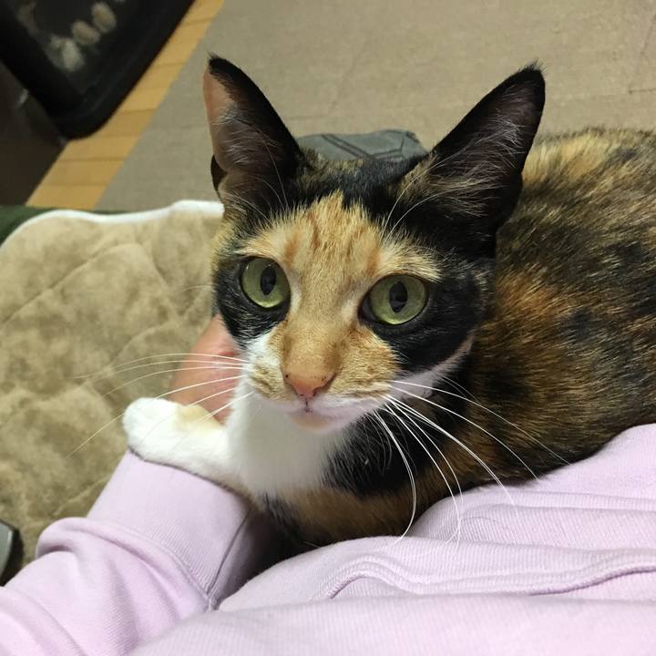 58ef84b8 3ad0 4e92 a1c3 9bda959a79f2