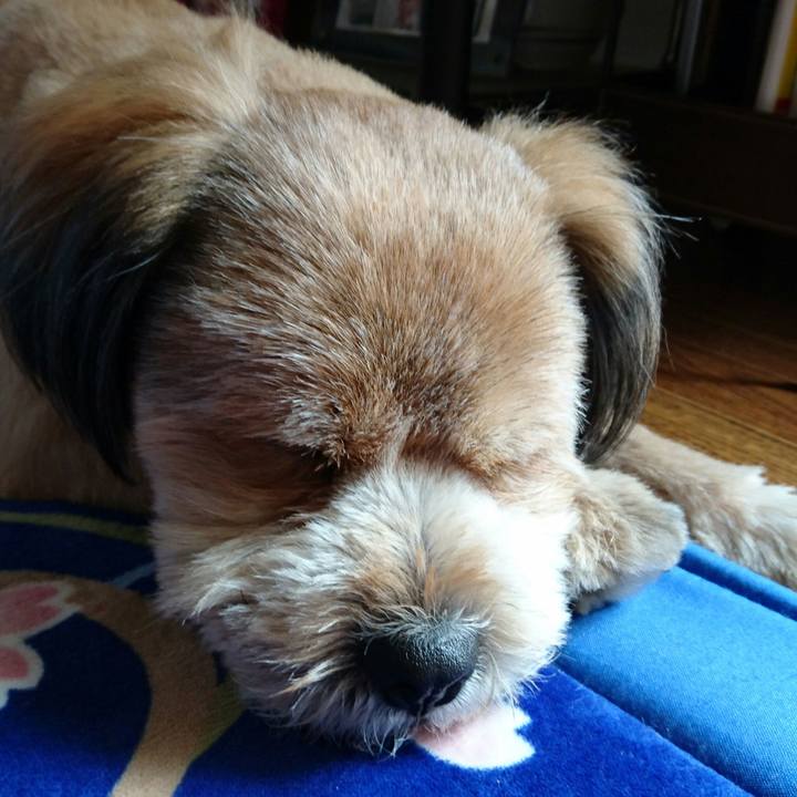 58efa0f2 4ec4 4788 9f6c 3a164522a5a3