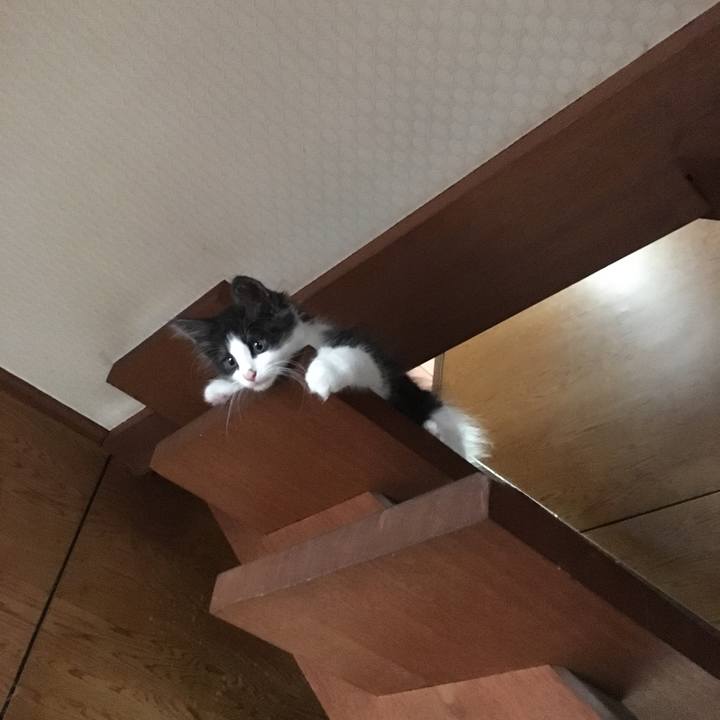 58f02ddb 59f4 46eb ba67 2782311f897b