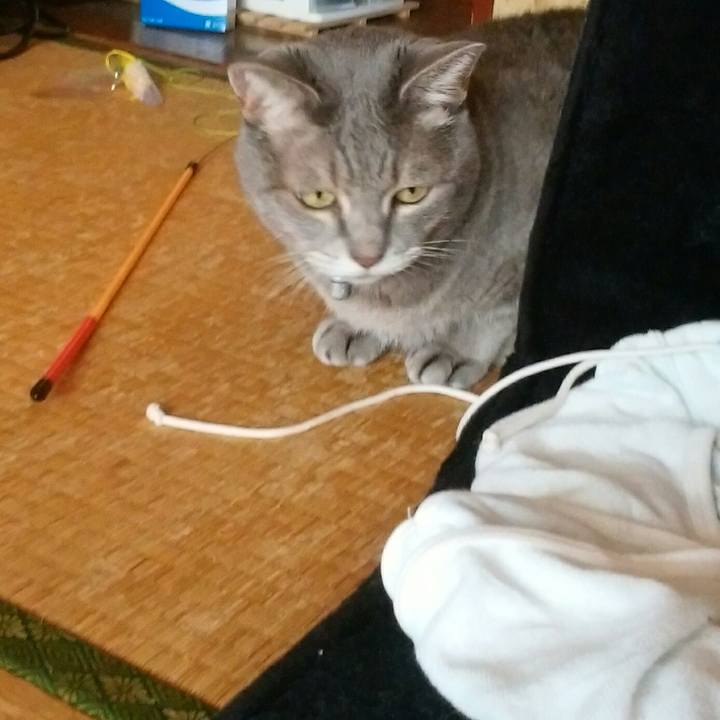 58f07dea 3b2d 4f30 84c3 fd6f732d19c3