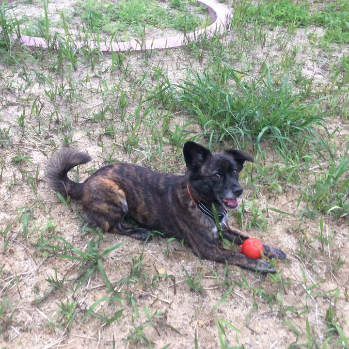 58f09595 a297 4f92 ba33 3ad97a0f1463