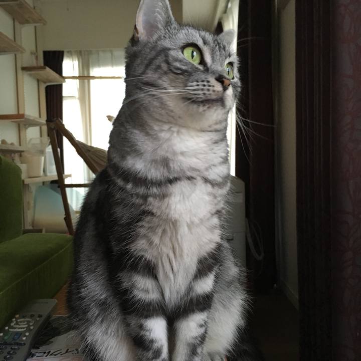 58f0e782 d6a9 4009 820d b8362e166e21