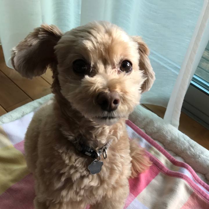 58f197b8 f96b 462e b5f0 8ff31ae67b0b