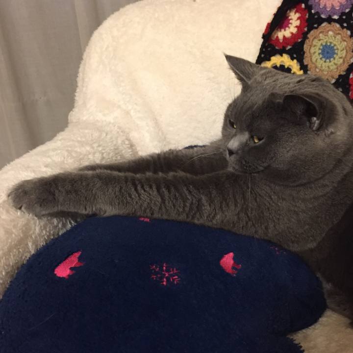 58f1bfd6 d008 4008 bd38 65dbaa6c34ae