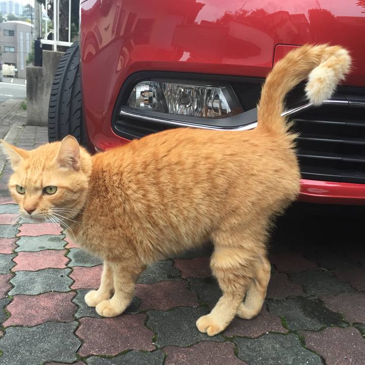 58f222dd 1134 461d 9d60 38bcd9e0697b