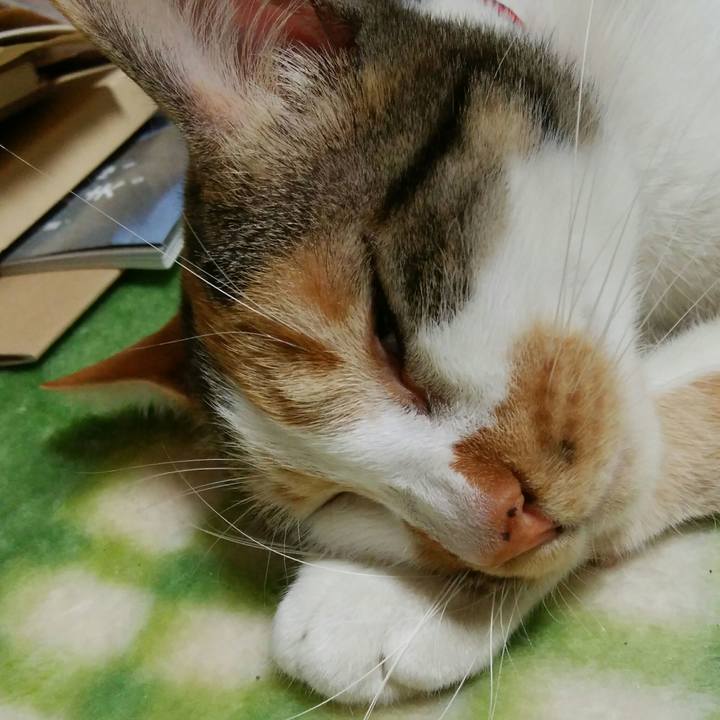 58f2502f 3ddd 4e1d ad98 1bcf75cb64e8