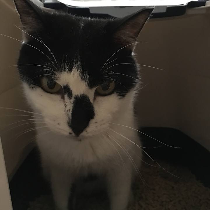 58f2a835 8baa 4bb0 99bf 22ffa22bfc7a