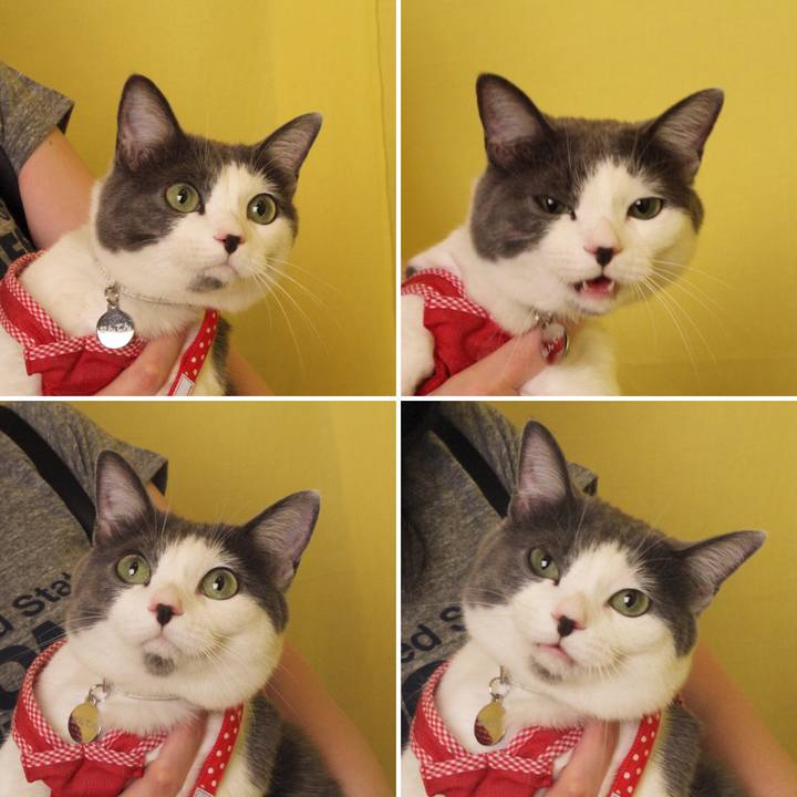 58f2d42c ff6d 415d a922 2595a7421fb3