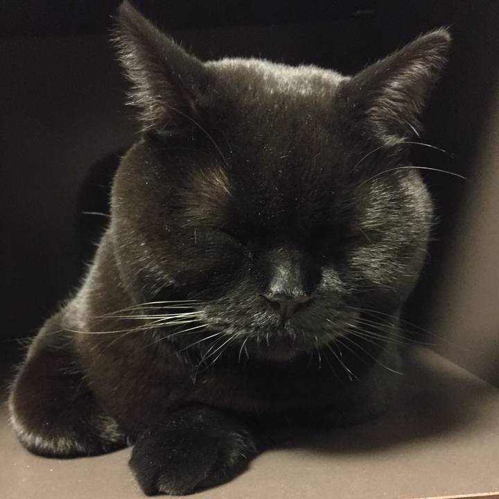 58f3acce 1706 488a a30f 16521dfd5cdd