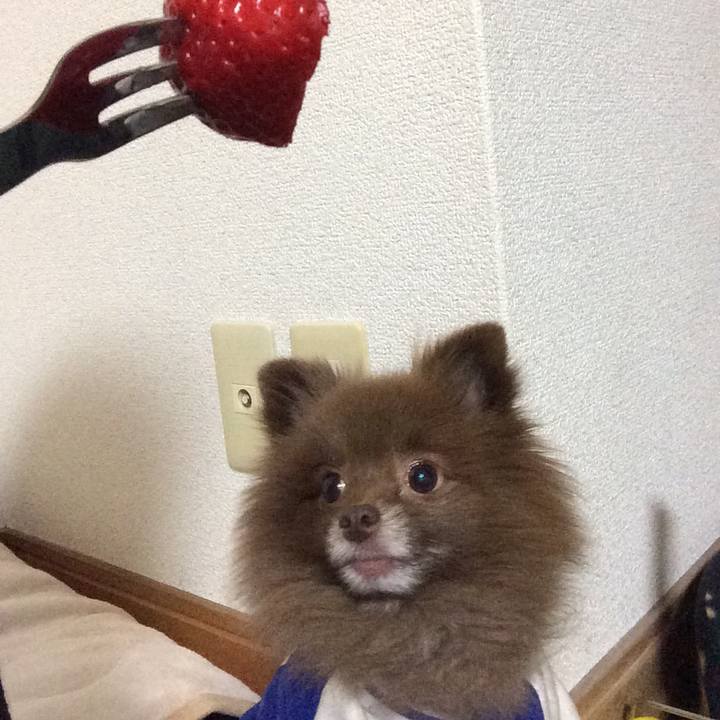 58f3b7bb 4578 4d02 8a45 ce27ab8da057