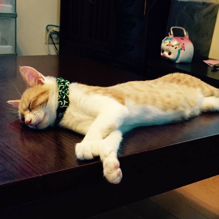 58f3ebed a1e1 419f be6b 68d2ccc02eb2