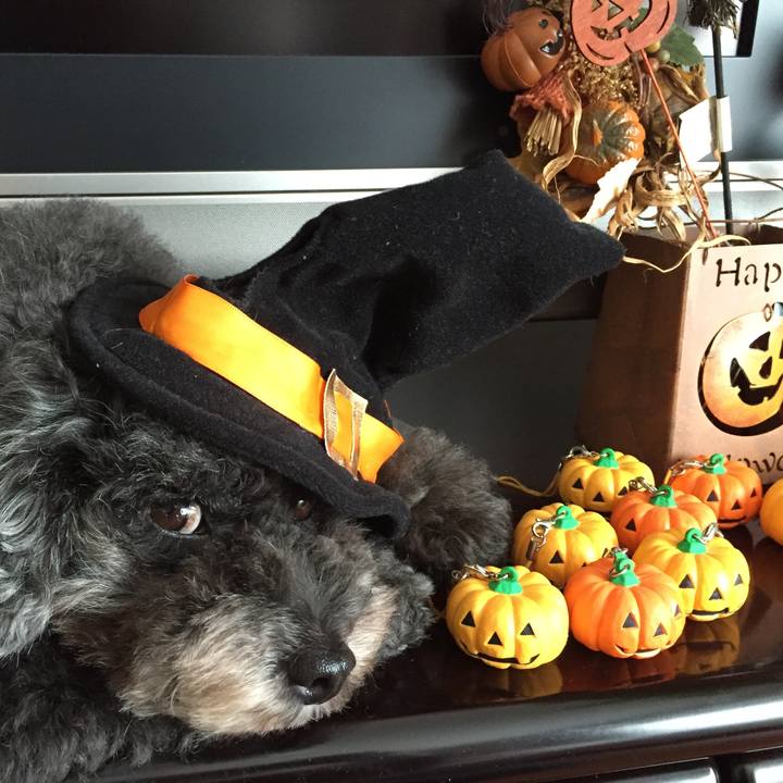 58f3f8be fc87 4c93 8f9e 63e1a764b7be