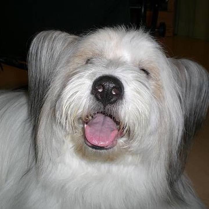 58f42dcf d2f3 46bd 9270 e4dc010efc1d