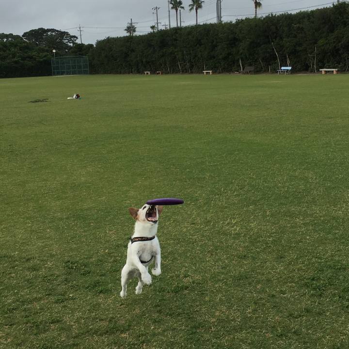 58f48e70 4a72 4a97 ab31 1d167815b82c