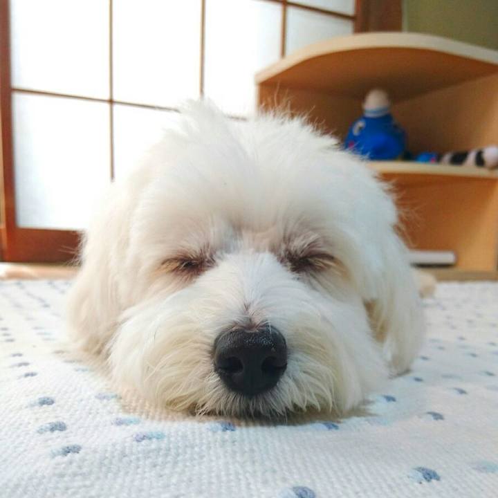 58f558af 863a 4f22 8d48 16871f6e7b26