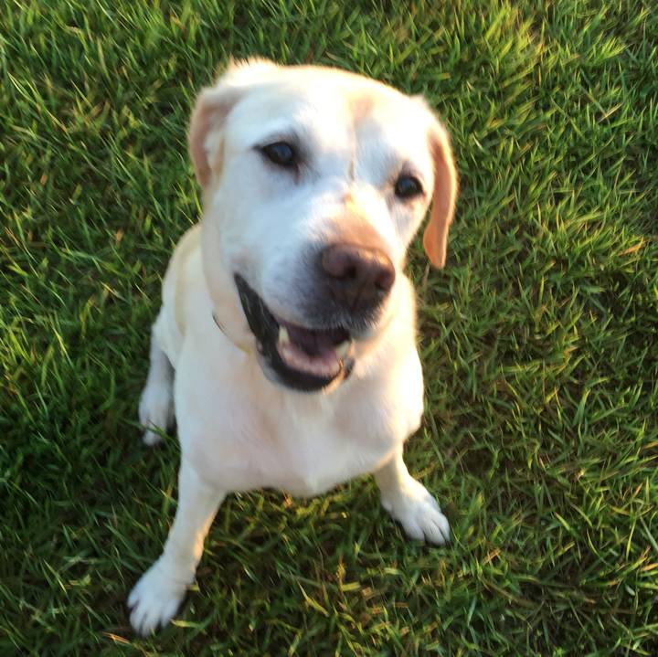 58f60201 1ace 4ee9 a317 8f56fcdf9f9a