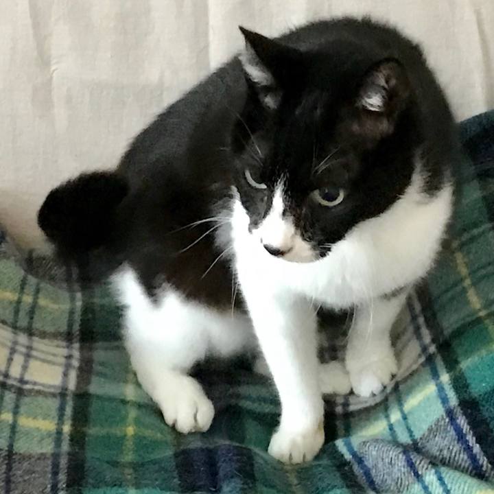 58f60462 c7c6 4256 b223 188896e09115