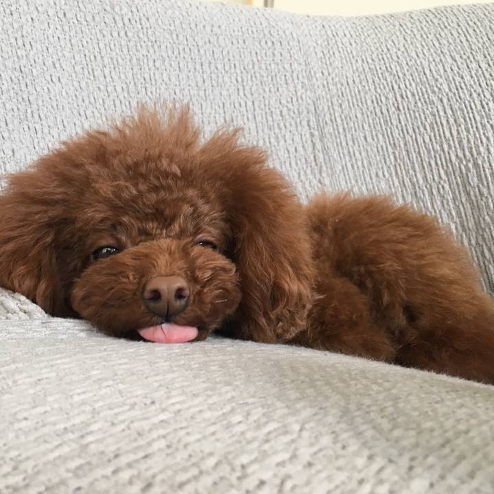 58f61115 406e 4f6d b1a3 7bab469c42b1