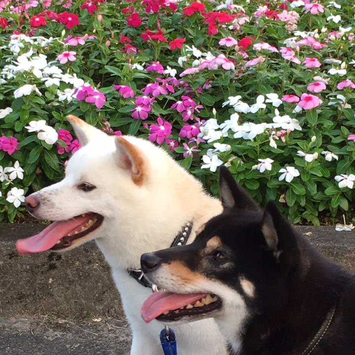 58f6173f 770f 426e bea7 b9824ab58535