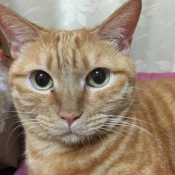 58f63e67 8a9f 4349 98cb e3e7e140ae7e