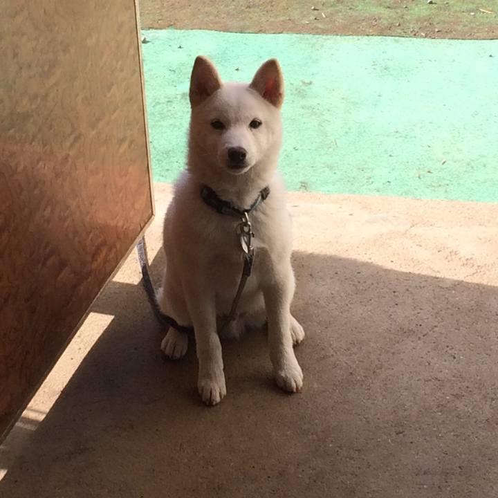 58f6c3b2 fd3f 4abd b432 513e0d03d00a