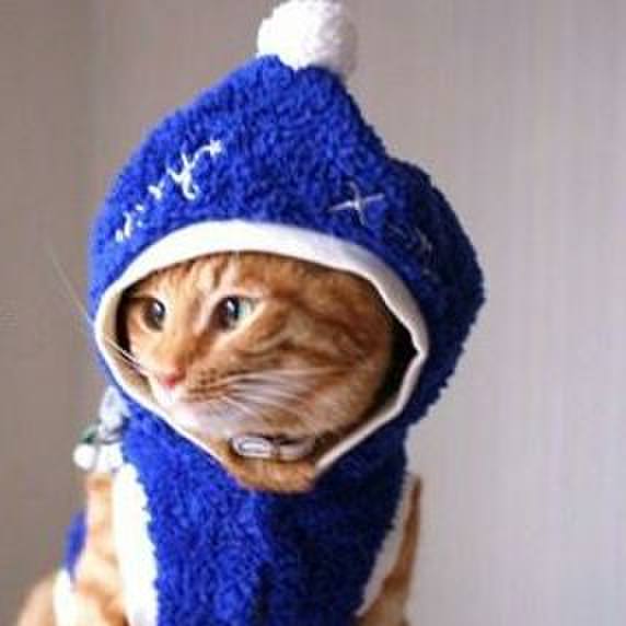 58f76f39 763b 4f5e 9f37 30a22ac96b99