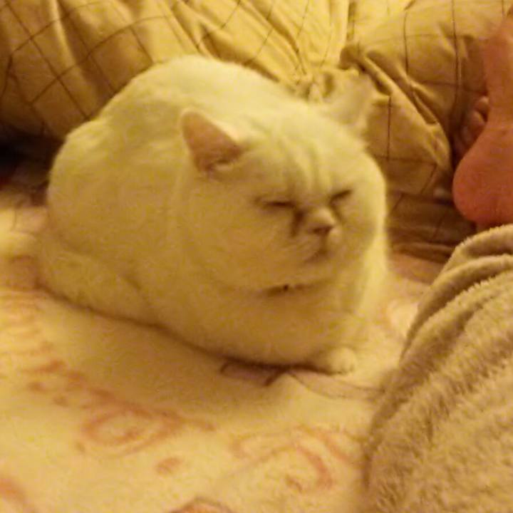 58f82d1d fa3d 444b b643 8f3dc2ba5d00