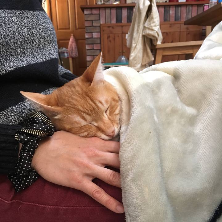 58f85fb2 5069 4252 a7c6 2042151552f5