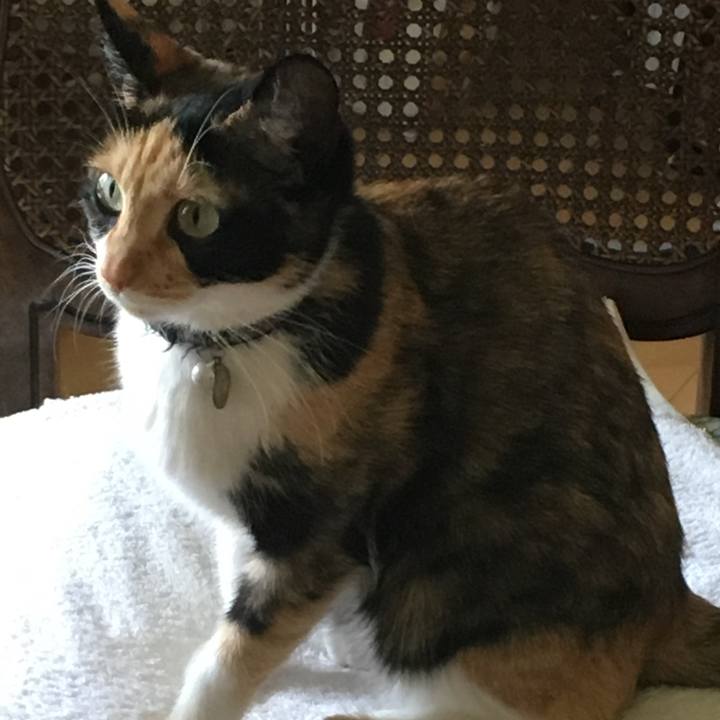 58f887eb 4245 4fc9 af9c 2f60f0e10d93