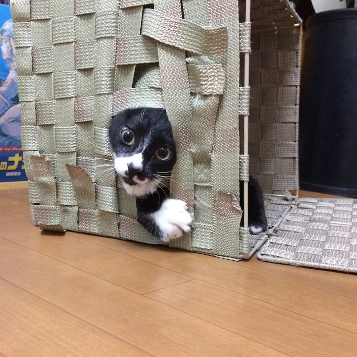 58f8d360 37a7 465a b53c 9f74a362f173