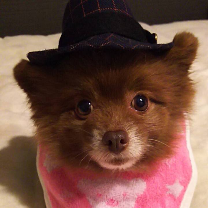 58f96677 f430 4785 9468 62b04d6a27be