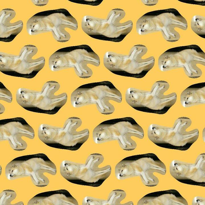 58f98c5e f20b 4b55 8413 b1be7602b9b8