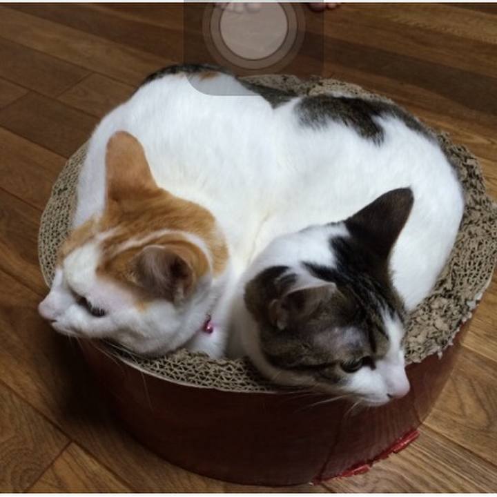 58f9e306 2609 4f3f 9ef3 ec9792ebf888