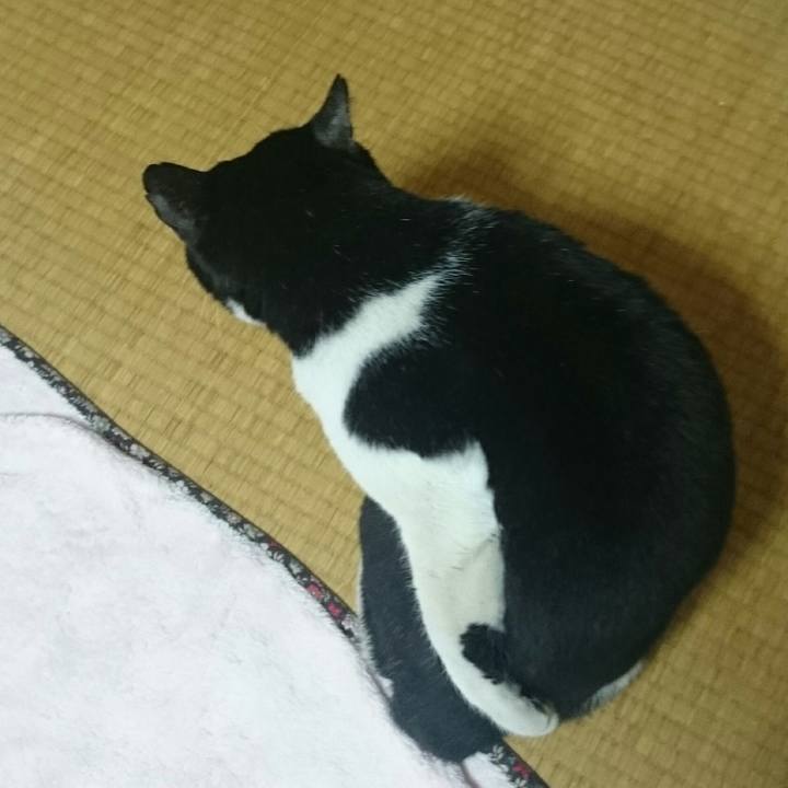 58fa0d02 c686 4730 9519 2e259e9922de