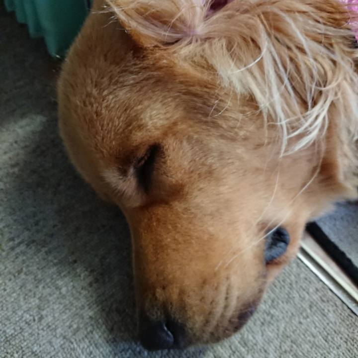 58fb8986 c4fe 4174 9188 a21b48c9e41a