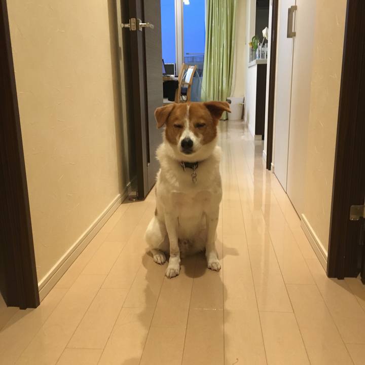 58fbe4a8 0851 41ff a8bc 02ccbe93f4b1