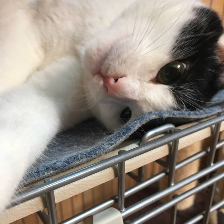 58fc3d77 1f5c 4151 8bc1 222230af3ee1