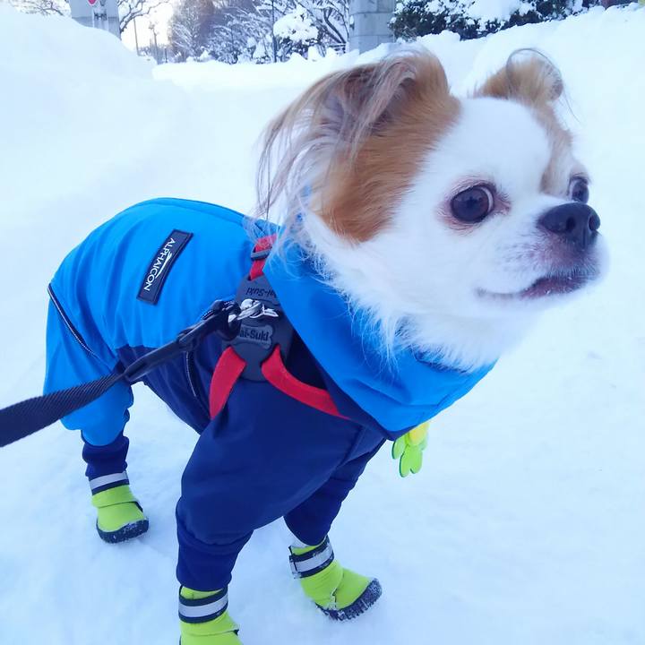 58fd3268 805f 4884 9bc3 9f6c7cfb96d0