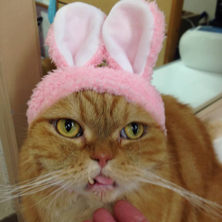 58fdb06d 53cb 4187 b1c8 dd8c64109ee9