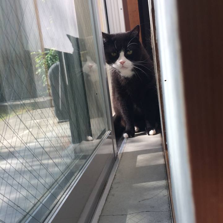 58fdf541 12a4 4f8e b0a6 2e73d3ae0402