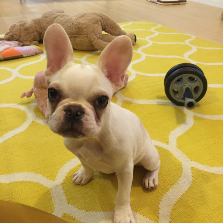 58fe287c a795 4aa7 bad8 731a52dfc9f6