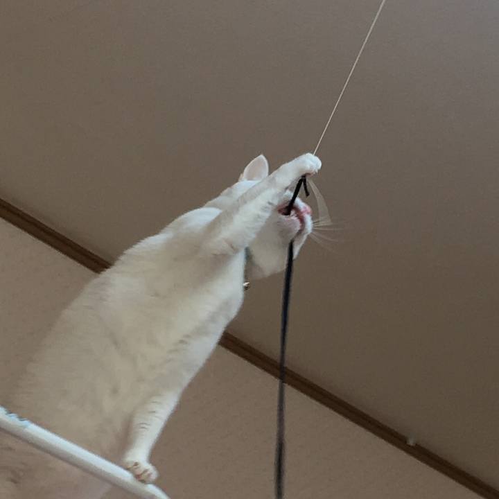 58fec0bf 509a 4e6d 9afc 5117a795223a