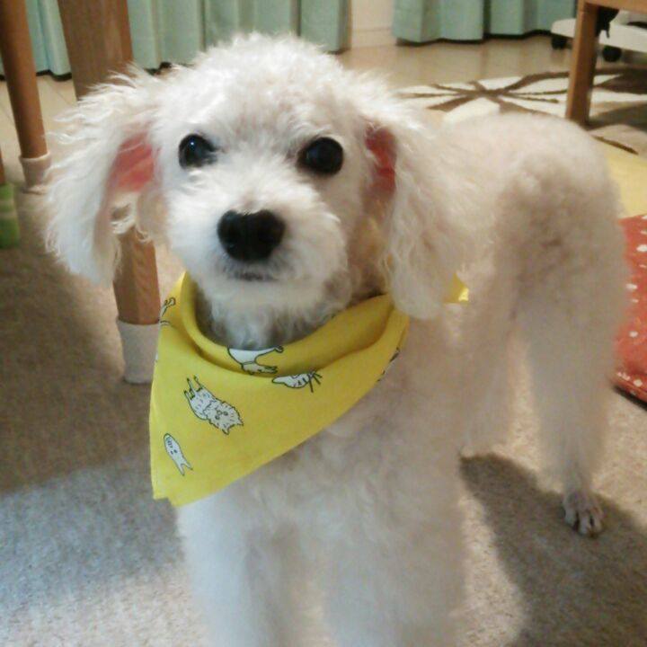 58ff2452 b4e1 45e3 b038 9b14fe41815b