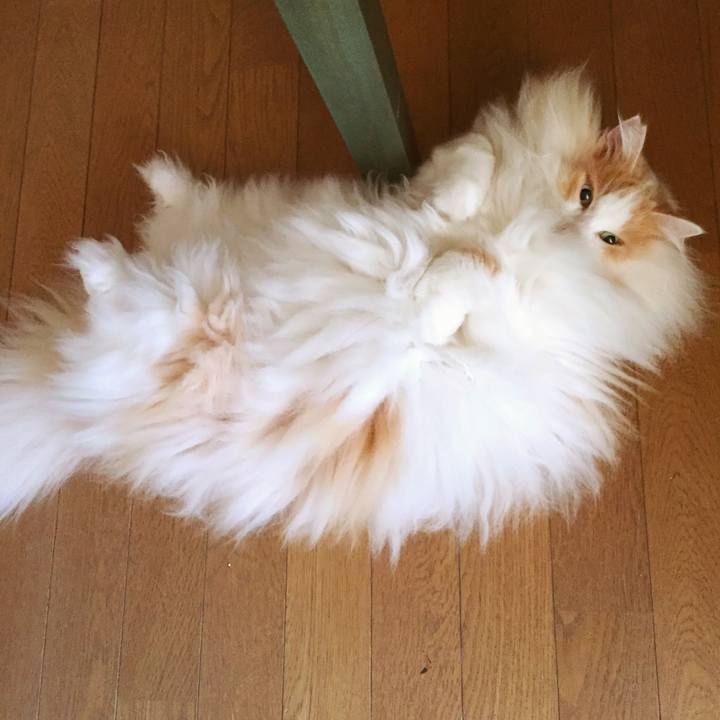 58ff45e9 79f8 46da 9425 5e883f217807